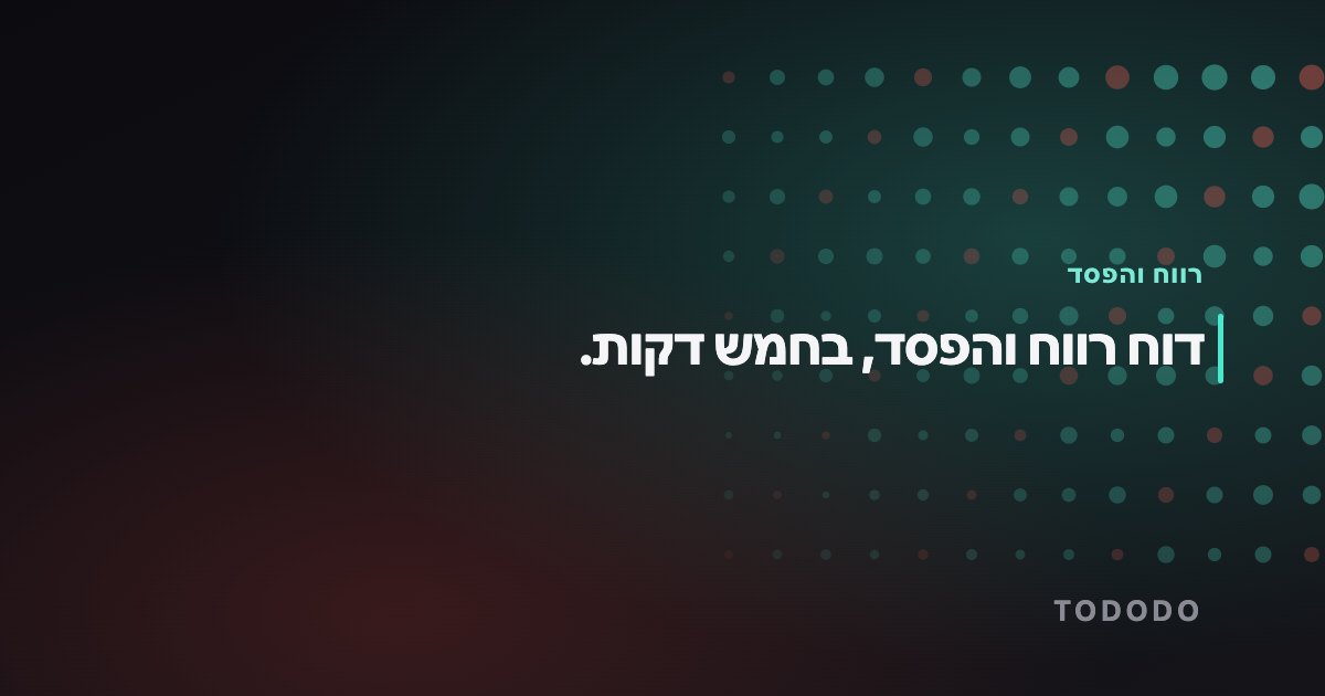 דוח רווח והפסד — דוח רווח והפסד, בחמש דקות.